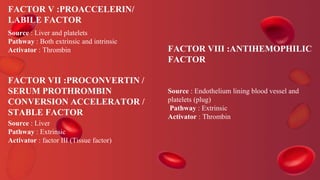 FACTOR V :PROACCELERIN/
LABILE FACTOR
Source : Liver and platelets
Pathway : Both extrinsic and intrinsic
Activator : Thrombin
FACTOR VII :PROCONVERTIN /
SERUM PROTHROMBIN
CONVERSION ACCELERATOR /
STABLE FACTOR
Source : Liver
Pathway : Extrinsic
Activator : factor III (Tissue factor)
FACTOR VIII :ANTIHEMOPHILIC
FACTOR
Source : Endothelium lining blood vessel and
platelets (plug)
Pathway : Extrinsic
Activator : Thrombin
 