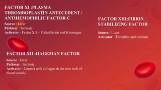 FACTOR XI :PLASMA
THROMBOPLASTIN ANTECEDENT /
ANTIHEMOPHILIC FACTOR C
Source : Liver
Pathway : Intrinsic
Activator : Factor XII + Prekallikrein and Kininogen
FACTOR XII :HAGEMAN FACTOR
Source : Liver
Pathway : Intrinsic
Activator : Contact with collagen in the torn wall of
blood vessels
FACTOR XIII:FIBRIN
STABILIZING FACTOR
Source : Liver
Activator : Thrombin and calcium
 