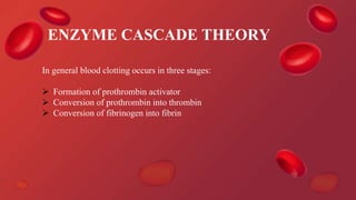 In general blood clotting occurs in three stages:
 Formation of prothrombin activator
 Conversion of prothrombin into thrombin
 Conversion of fibrinogen into fibrin
ENZYME CASCADE THEORY
 