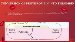 CONVERSION OF PROTHROMBIN INTO THROMBIN
 Prothrombin activator converts prothrombin into thrombin in the presence of calcium ions (factor IV).
 Positive feedback effect
 