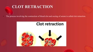 CLOT RETRACTION
• The process involving the contraction of blood clot and oozing of serum is called clot retraction.
 