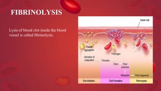 FIBRINOLYSIS
Lysis of blood clot inside the blood
vessel is called fibrinolysis.
 