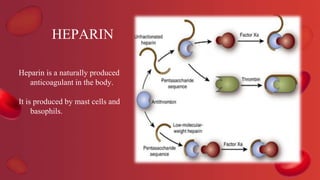 HEPARIN
Heparin is a naturally produced
anticoagulant in the body.
It is produced by mast cells and
basophils.
 