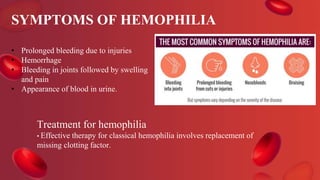 SYMPTOMS OF HEMOPHILIA
Treatment for hemophilia
• Effective therapy for classical hemophilia involves replacement of
missing clotting factor.
• Prolonged bleeding due to injuries
• Hemorrhage
• Bleeding in joints followed by swelling
and pain
• Appearance of blood in urine.
 