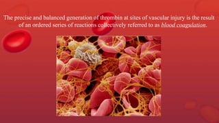 The precise and balanced generation of thrombin at sites of vascular injury is the result
of an ordered series of reactions collectively referred to as blood coagulation.
 