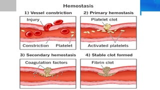 Blood Coagulation & Bleeding Disorders.pdf