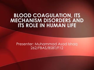 BLOOD COAGULATION, ITS
MECHANISM DISORDERS AND
ITS ROLE IN HUMAN LIFE

Presenter: Muhammad Asad Ishaq
262/FBAS/BSBT/F12

 