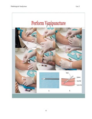Comprehensive Guide to Blood Collection Techniques and Hematological ...