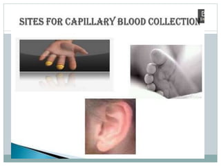 Blood collection and presevation