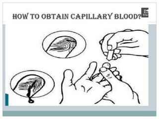 Blood collection and presevation