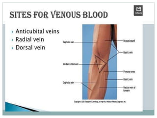 Blood collection and presevation
