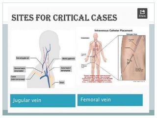 Blood collection and presevation