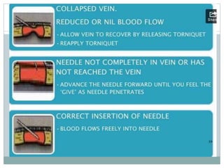 Blood collection and presevation