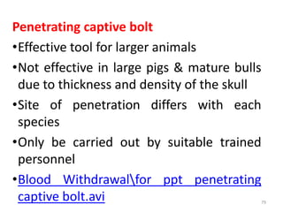 Blood collection, Anesthesia and Euthanasia techniques in laboratory ...