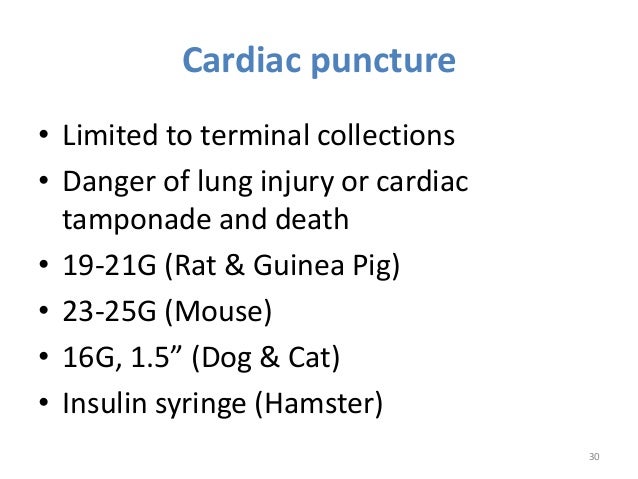 Blood collection, Anesthesia and Euthanasia techniques in Blood collection, Anesthesia and Euthanasia techniques in
