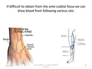 If difficult to obtain from the ante-cubital fossa we can
draw blood from following various site:
10/13/2018 22
SUNIL KUMAR. P, ST.JOHN'S MEDICAL
COLLEGE
 