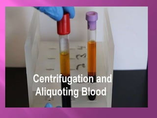 Blood collection techniques | PPTX