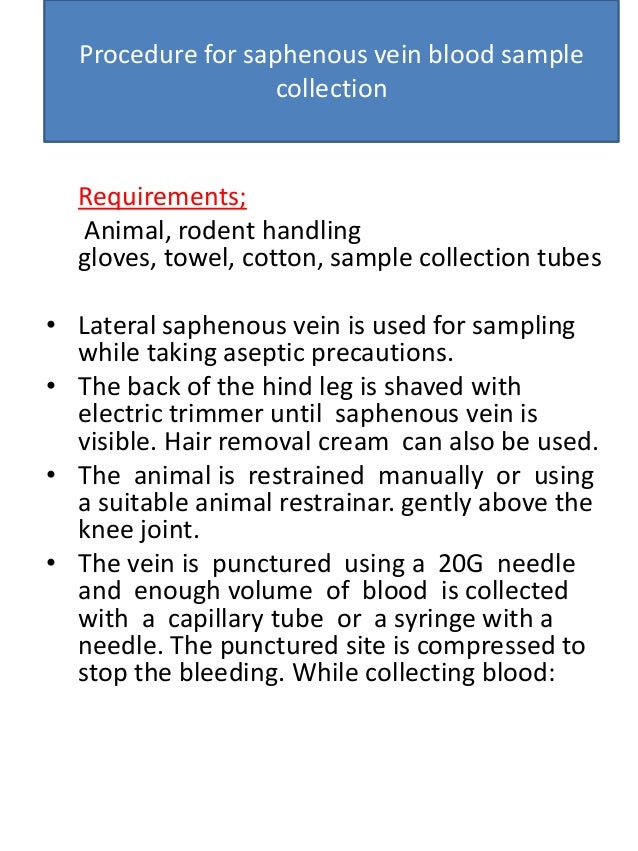 Blood collection techniques from laboratory animals