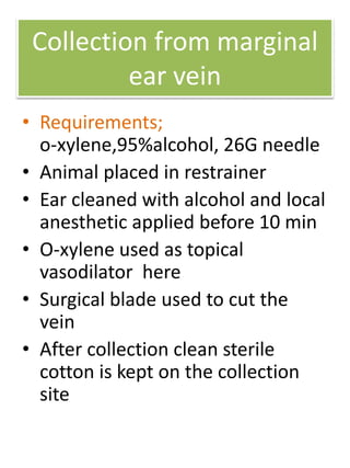 Blood collection techniques from laboratory animals | PPTX