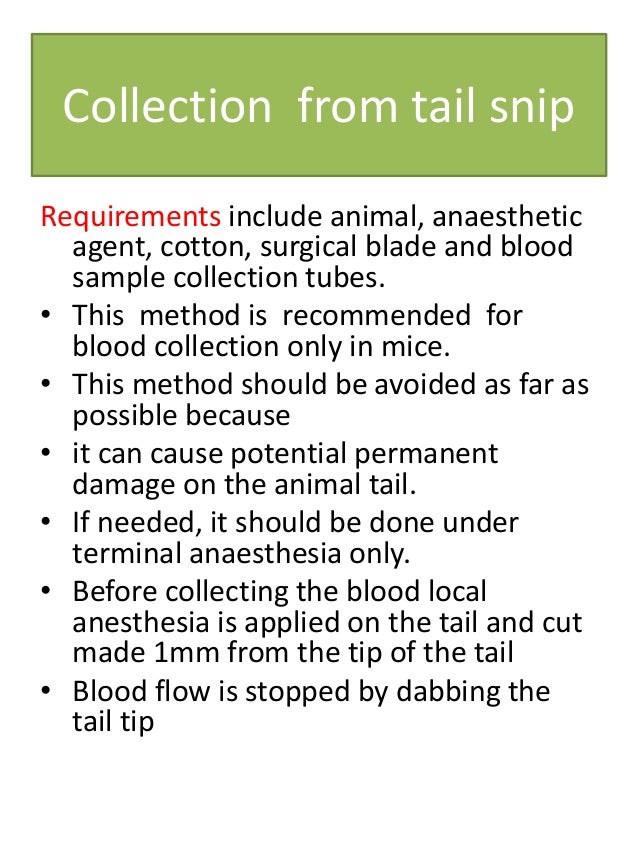 Blood collection techniques from laboratory animals