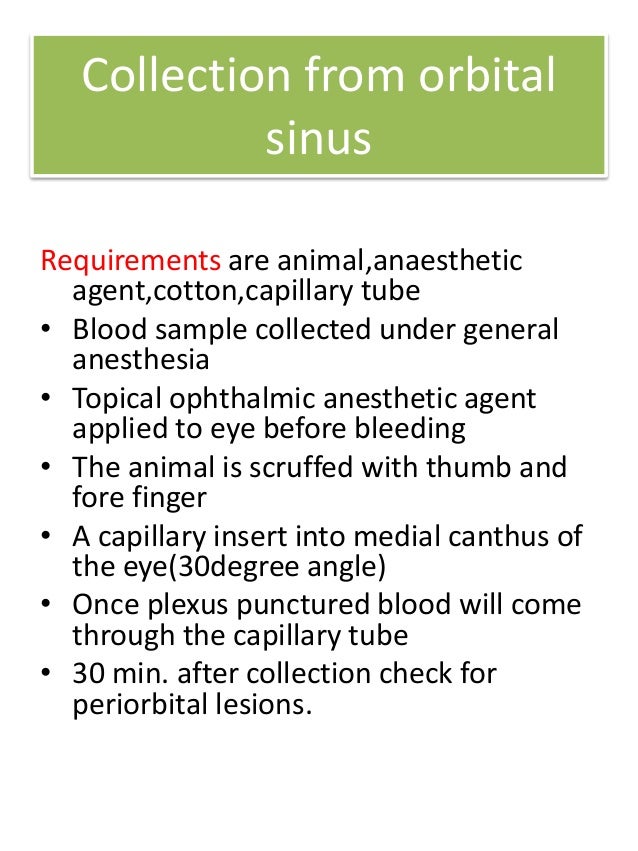 Blood collection techniques from laboratory animals