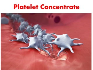 Platelet Concentrate
 