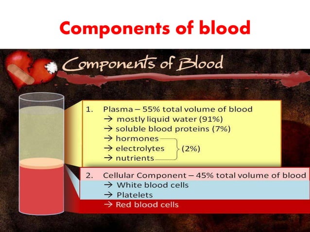 Blood component processing & | PPTX | Blood Disorders | Diseases and ...
