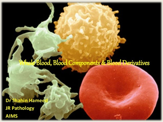 whole composition of blood components Blood