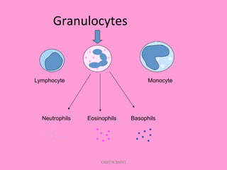  	
  	
  Granulocytes	
  
Lymphocyte Monocyte
Neutrophils Eosinophils Basophils
KAWITA BAPAT
 