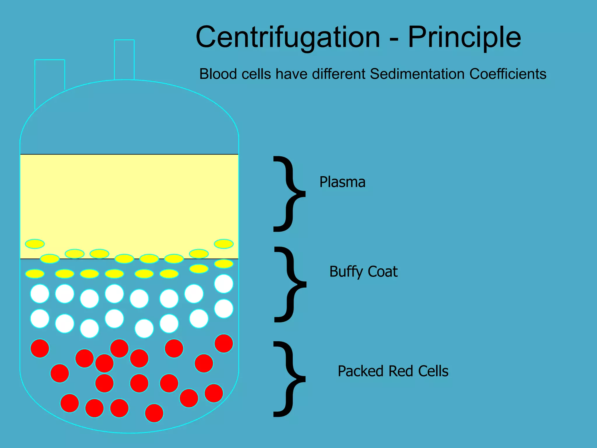 Blood components and preparation | PPTX
