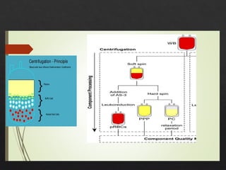 Blood_Components_BSc_Nursing PRBC FFP RDP | PPTX