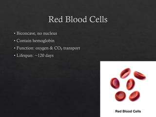 Blood_Components_BSc_Nursing PRBC FFP RDP | PPTX