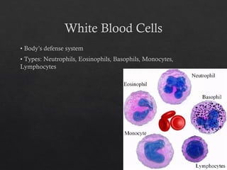 Blood_Components_BSc_Nursing PRBC FFP RDP | PPTX
