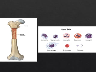 Blood_Components_BSc_Nursing PRBC FFP RDP | PPTX