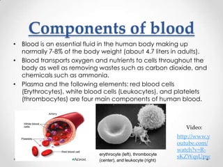Components of blood
• Blood is an essential fluid in the human body making up
normally 7-8% of the body weight (about 4.7 liters in adults).
• Blood transports oxygen and nutrients to cells throughout the
body as well as removing wastes such as carbon dioxide, and
chemicals such as ammonia.
• Plasma and the following elements: red blood cells
(Erythrocytes), white blood cells (Leukocytes), and platelets
(thrombocytes) are four main components of human blood.
erythrocyte (left), thrombocyte
(center), and leukocyte (right)
http://www.y
outube.com/
watch?v=R-
sKZWqsUpw
Video:
 