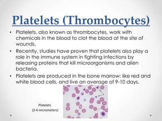 Platelets (Thrombocytes)
• Platelets, also known as thrombocytes, work with
chemicals in the blood to clot the blood at the site of
wounds.
• Recently, studies have proven that platelets also play a
role in the immune system in fighting infections by
releasing proteins that kill microorganisms and alien
bacteria.
• Platelets are produced in the bone marrow: like red and
white blood cells, and live an average of 9-10 days.
Platelets
(2-4 micrometers)
 