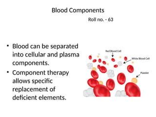Comprehensive Overview of Blood Components and Their Therapeutic Uses ...