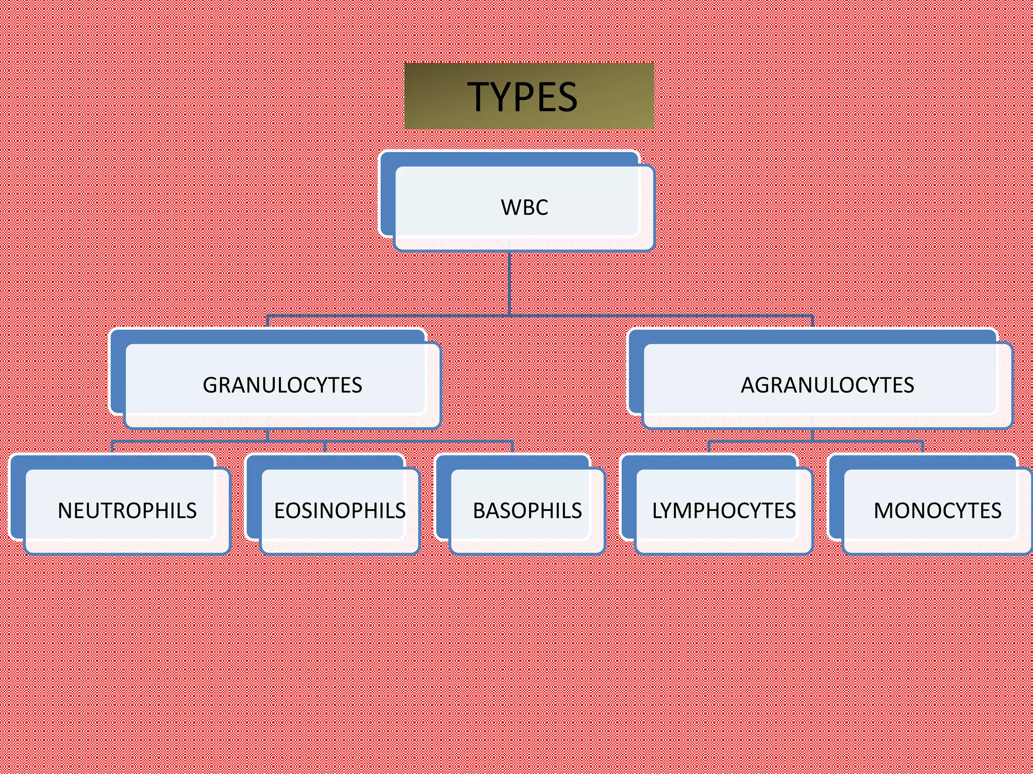 blood-composition-ppt