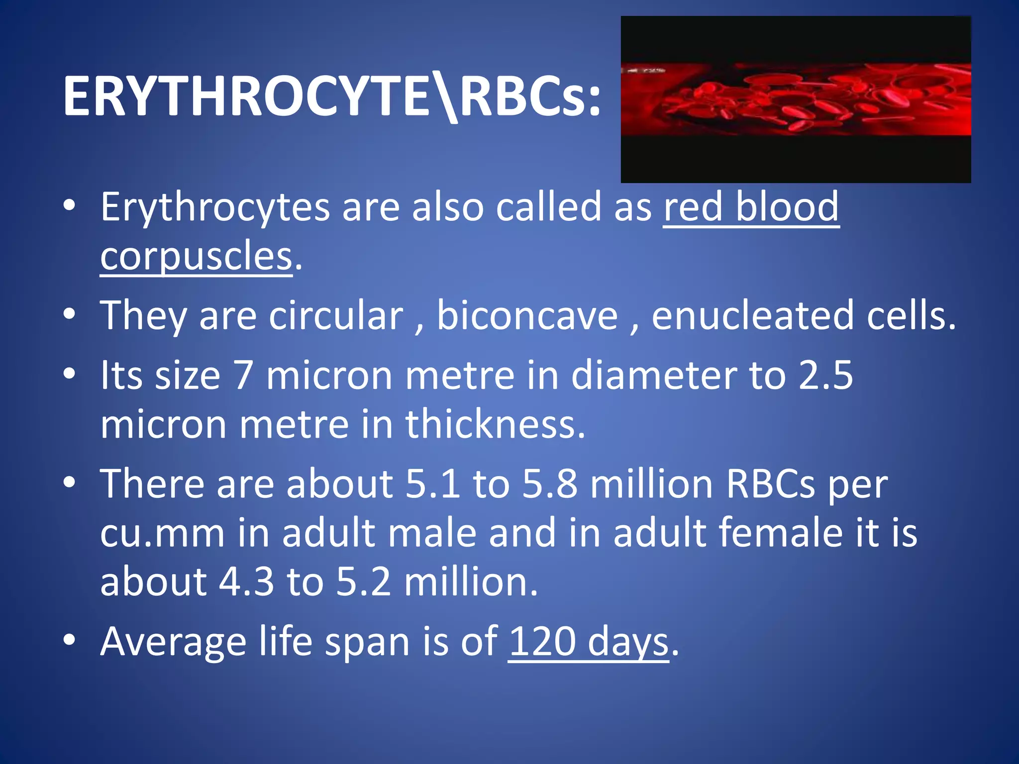 ERYTHROCYTERBCs:
• Erythrocytes are also called as red blood
corpuscles.
• They are circular , biconcave , enucleated cells.
• Its size 7 micron metre in diameter to 2.5
micron metre in thickness.
• There are about 5.1 to 5.8 million RBCs per
cu.mm in adult male and in adult female it is
about 4.3 to 5.2 million.
• Average life span is of 120 days.
 