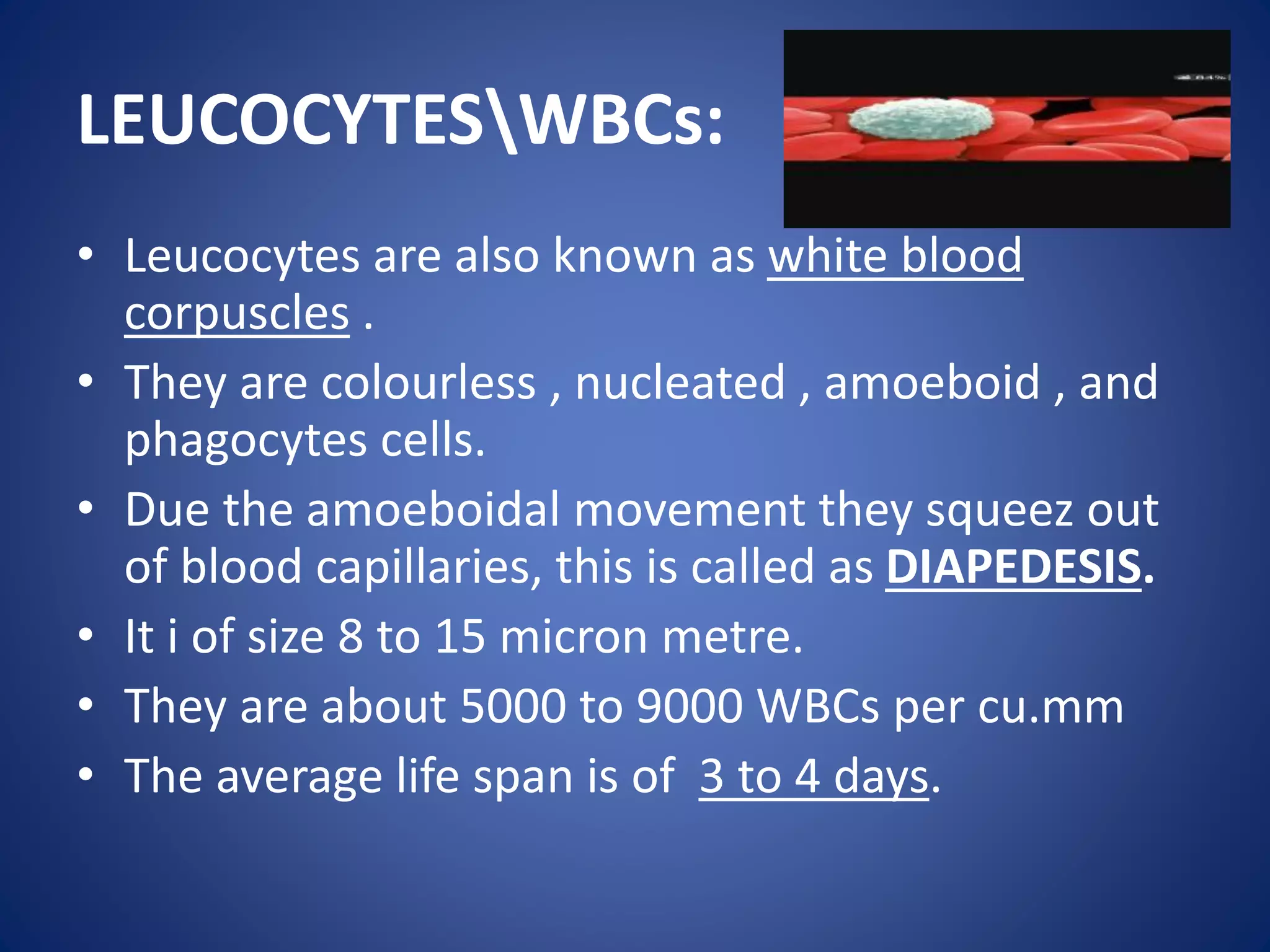 LEUCOCYTESWBCs:
• Leucocytes are also known as white blood
corpuscles .
• They are colourless , nucleated , amoeboid , and
phagocytes cells.
• Due the amoeboidal movement they squeez out
of blood capillaries, this is called as DIAPEDESIS.
• It i of size 8 to 15 micron metre.
• They are about 5000 to 9000 WBCs per cu.mm
• The average life span is of 3 to 4 days.
 