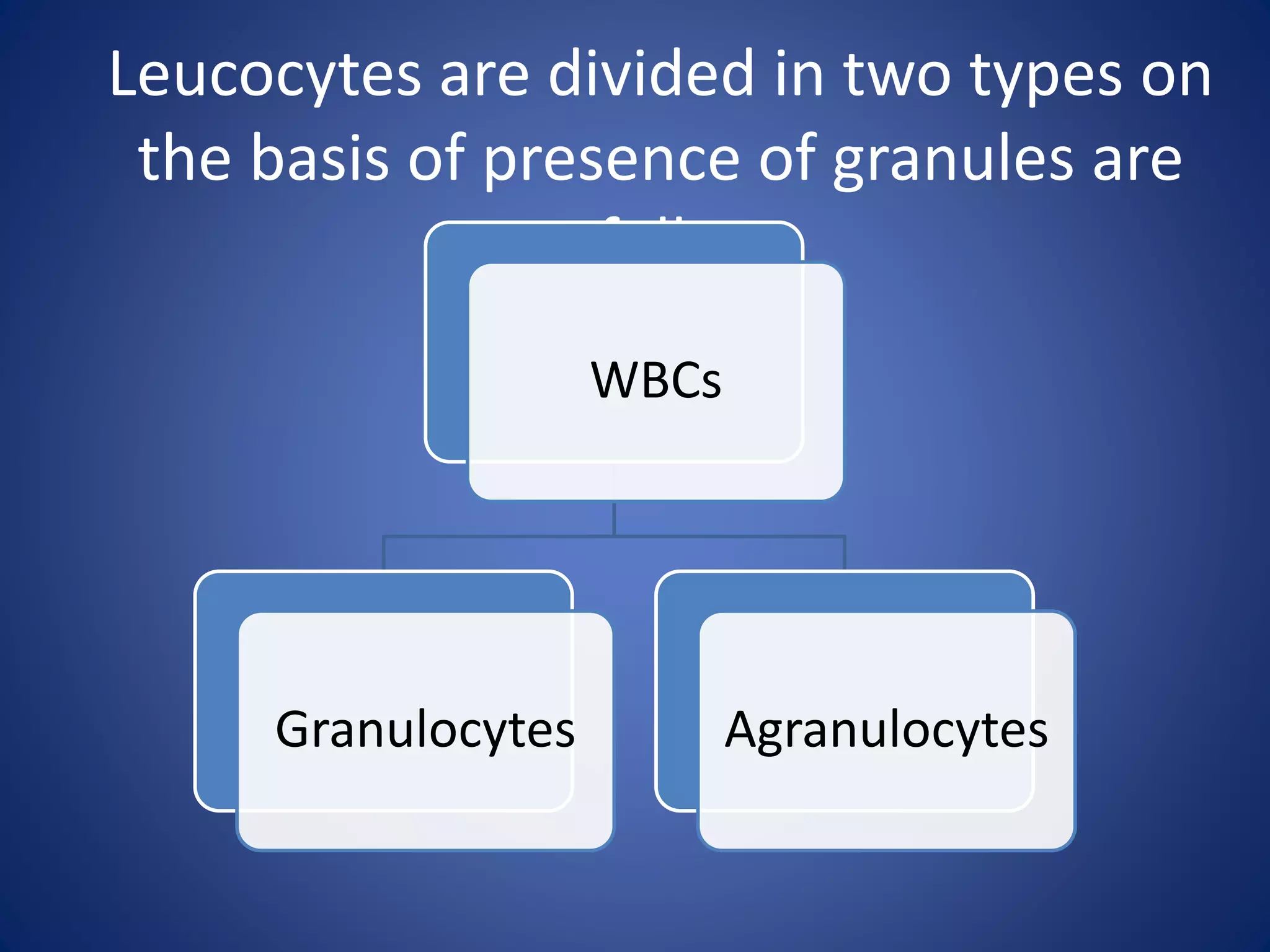 Leucocytes are divided in two types on
the basis of presence of granules are
as follows
;
WBCs
Granulocytes Agranulocytes
 