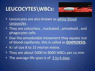 LEUCOCYTESWBCs:
• Leucocytes are also known as white blood
corpuscles .
• They are colourless , nucleated , amoeboid , and
phagocytes cells.
• Due the amoeboidal movement they squeez out
of blood capillaries, this is called as DIAPEDESIS.
• It i of size 8 to 15 micron metre.
• They are about 5000 to 9000 WBCs per cu.mm
• The average life span is of 3 to 4 days.
 