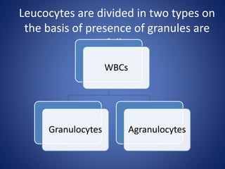 Leucocytes are divided in two types on
the basis of presence of granules are
as follows
;
WBCs
Granulocytes Agranulocytes
 
