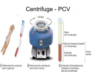 Blood count | PPT