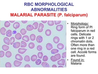 RBC MORPHOLOGICAL
ABNORMALITIES
MALARIAL PARASITE (P. falciparum)
• Morphology:
Ring form of Pl
falciparum in red
cells. Delicate
rings with 1 or 2
chromatin dots.
Often more than
one ring in a red
cell. Accolé forms
are found.
• Found in:
Malaria
 