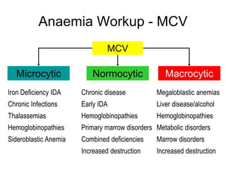 Anaemia Workup - MCV
Microcytic
MCV
Normocytic Macrocytic
Iron Deficiency IDA
Chronic Infections
Thalassemias
Hemoglobinopathies
Sideroblastic Anemia
Chronic disease
Early IDA
Hemoglobinopathies
Primary marrow disorders
Combined deficiencies
Increased destruction
Megaloblastic anemias
Liver disease/alcohol
Hemoglobinopathies
Metabolic disorders
Marrow disorders
Increased destruction
 