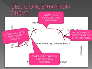 STARTING TO GROWTH
AS FOUND NEW
NUTRIENTS
EQUAL CELL
REPRODUCTION
AND DEATH
RATE OF DEATH
EXCEED RATE OF
REPRODUCTION
 