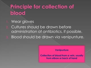 1. Wear gloves
2. Cultures should be drawn before
administration of antibiotics, if possible.
3. Blood should be drawn via venipunture.
Venipunture
Collection of blood from a vein, usually
from elbow or back of hand
 