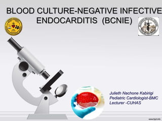 BLOOD CULTURE-NEGATIVE INFECTIVE
ENDOCARDITIS (BCNIE)
Julieth Nachone Kabirigi
Pediatric Cardiologist-BMC
Lecturer -CUHAS
 