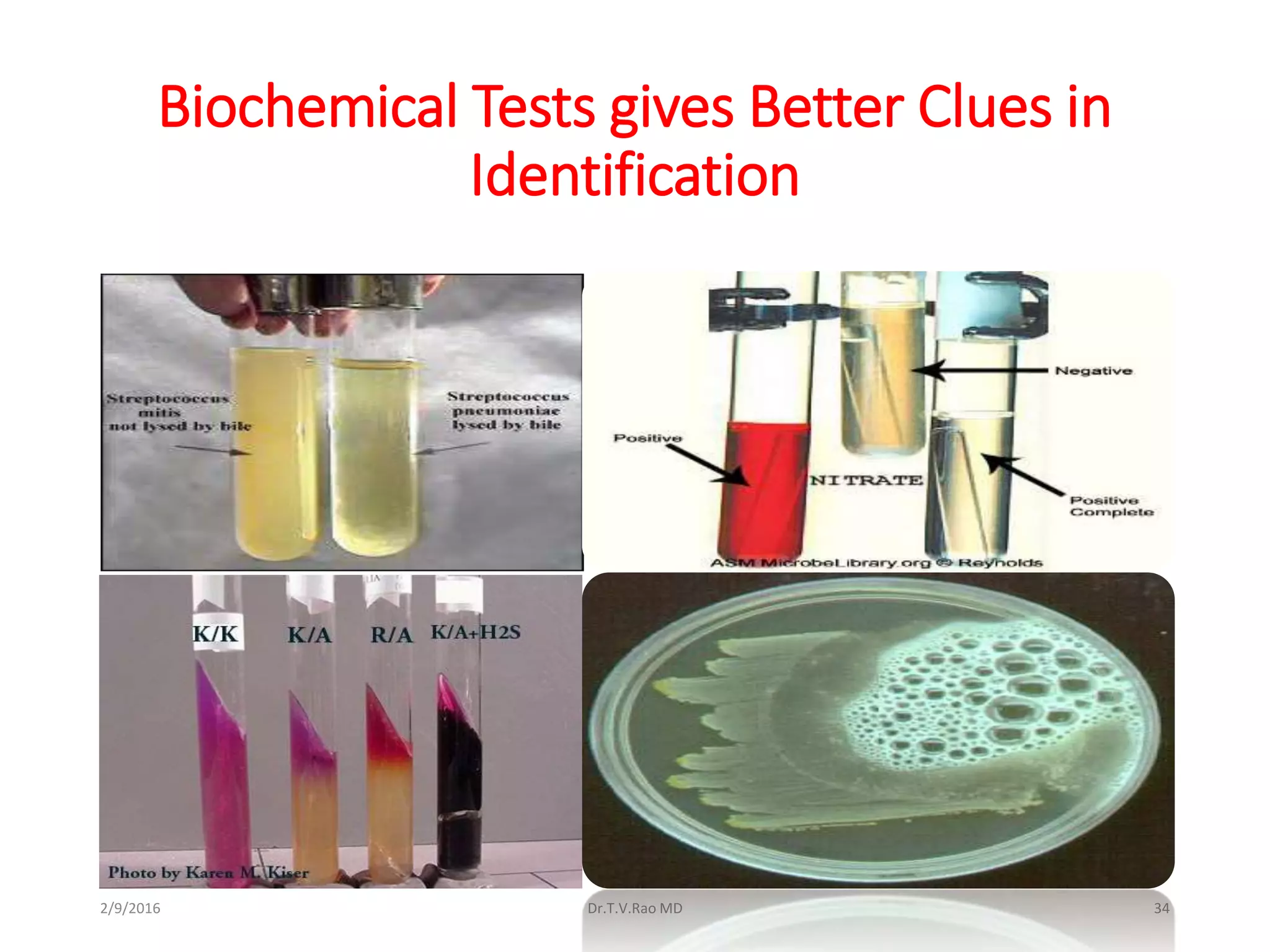 Biochemical Tests gives Better Clues in
Identification
Dr.T.V.Rao MD 342/9/2016
 